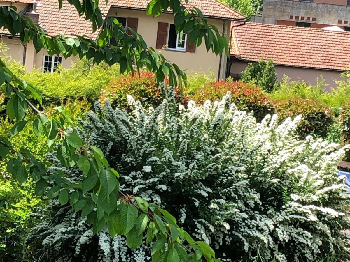A O Soa B&B Savignone Exterior foto